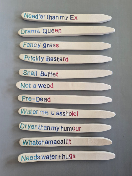 Set of ceramic plant name sticks or labels with humorous text on a gray background