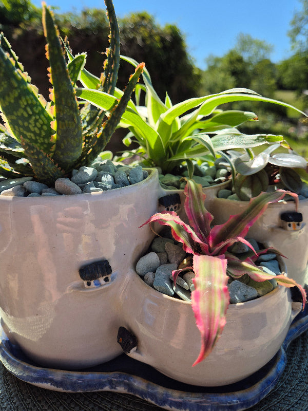 A handmade ceramic planter with different compartments. Decorated with tiny sculpted cottages, partly obscured by plant leaves