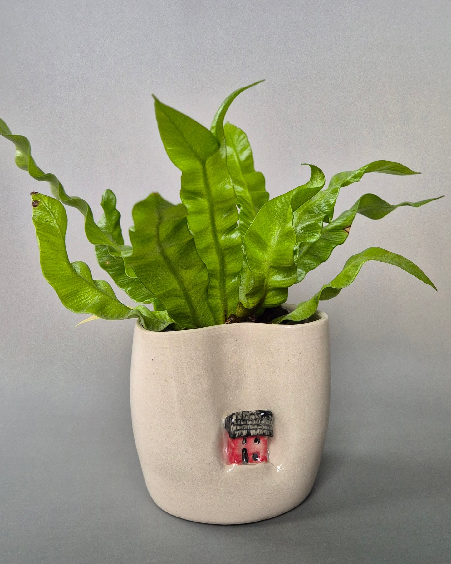 A small white stoneware pot featuring a hand sculpted tiny red house. The pot contains a small green plant. On a grey background.