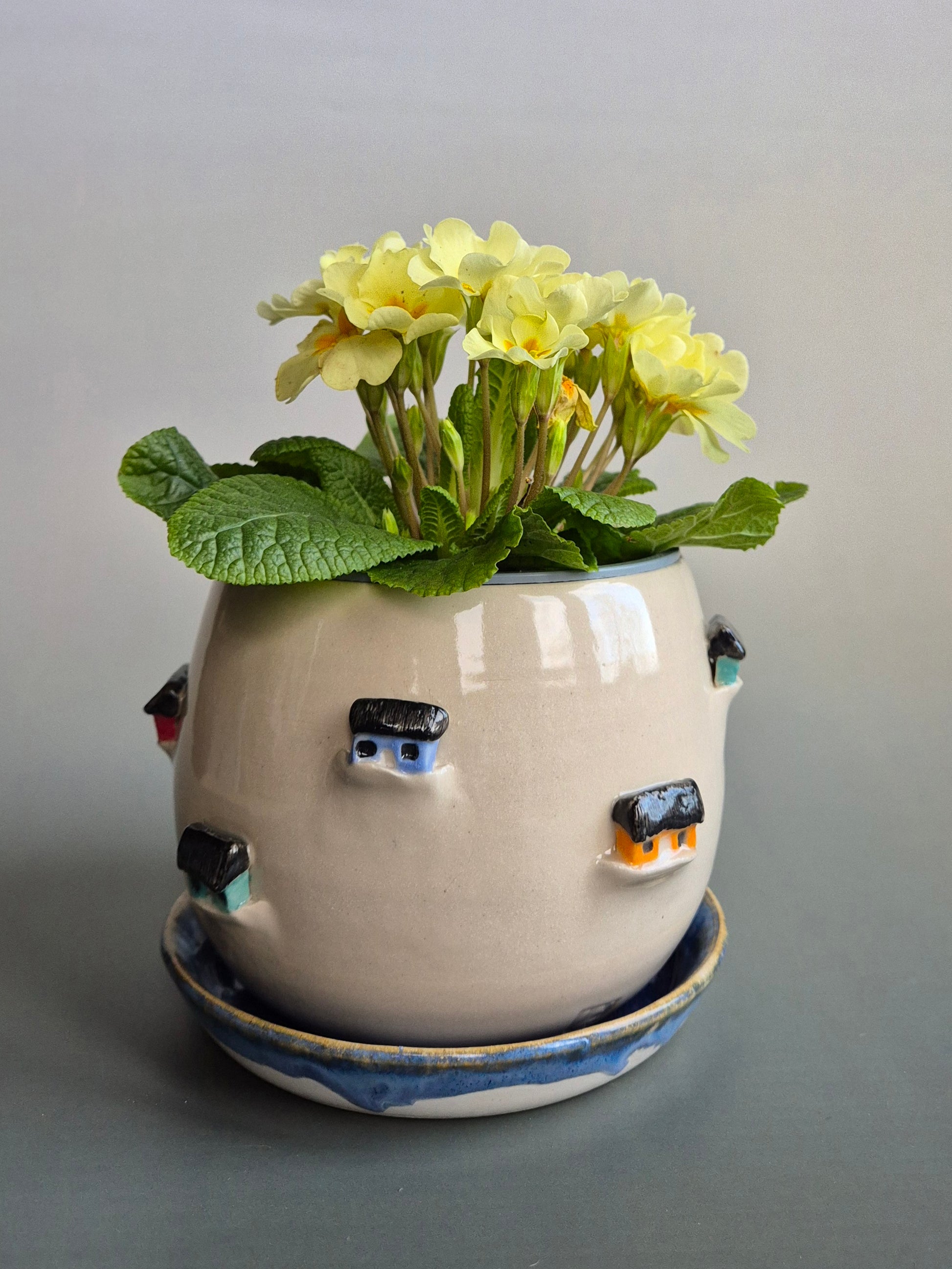 Ceramic planter decorated with colourful tiny houses, with a plant inside. On a blue saucer with a plain background