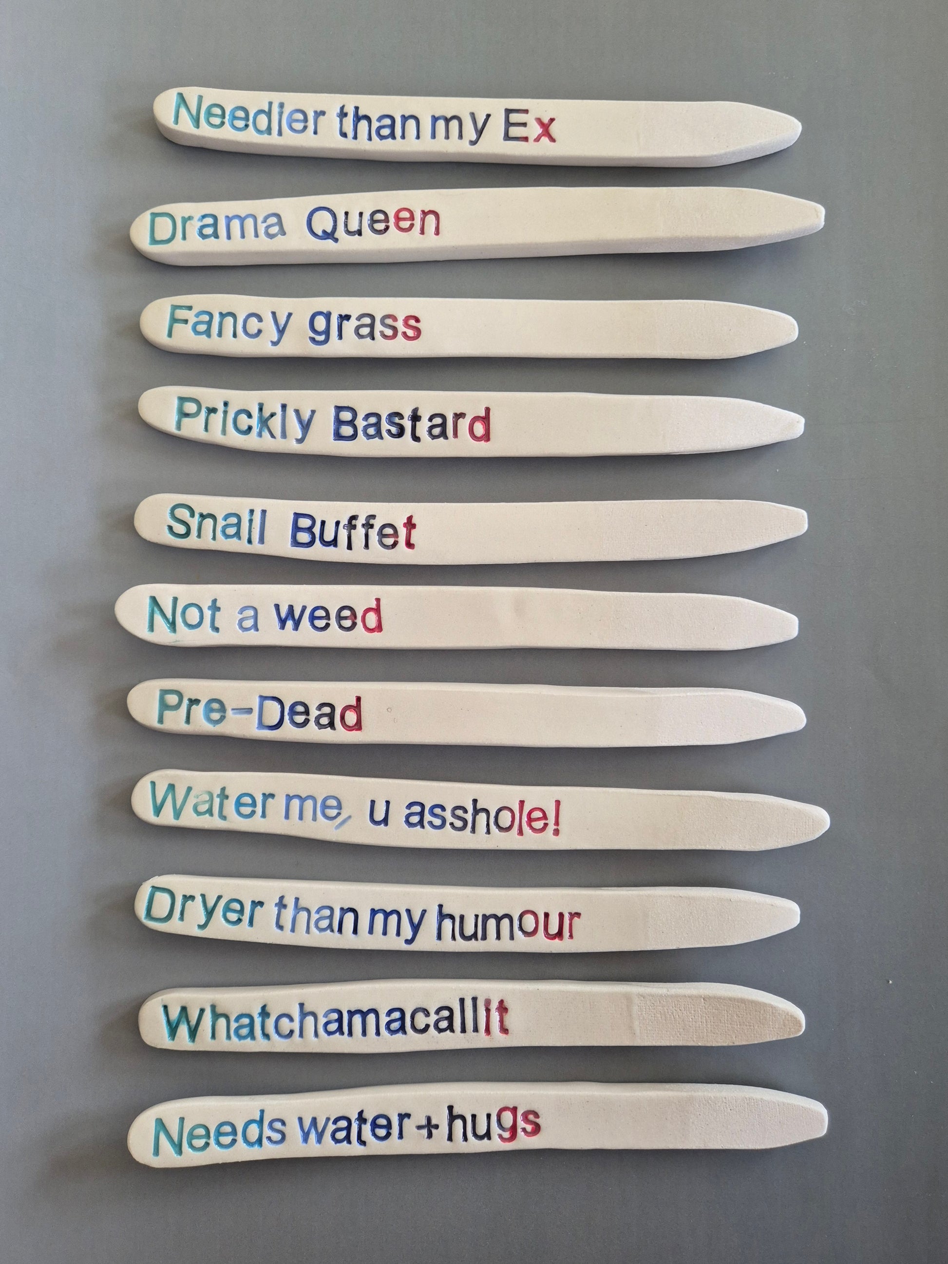 Set of ceramic plant name sticks or labels with humorous text on a gray background