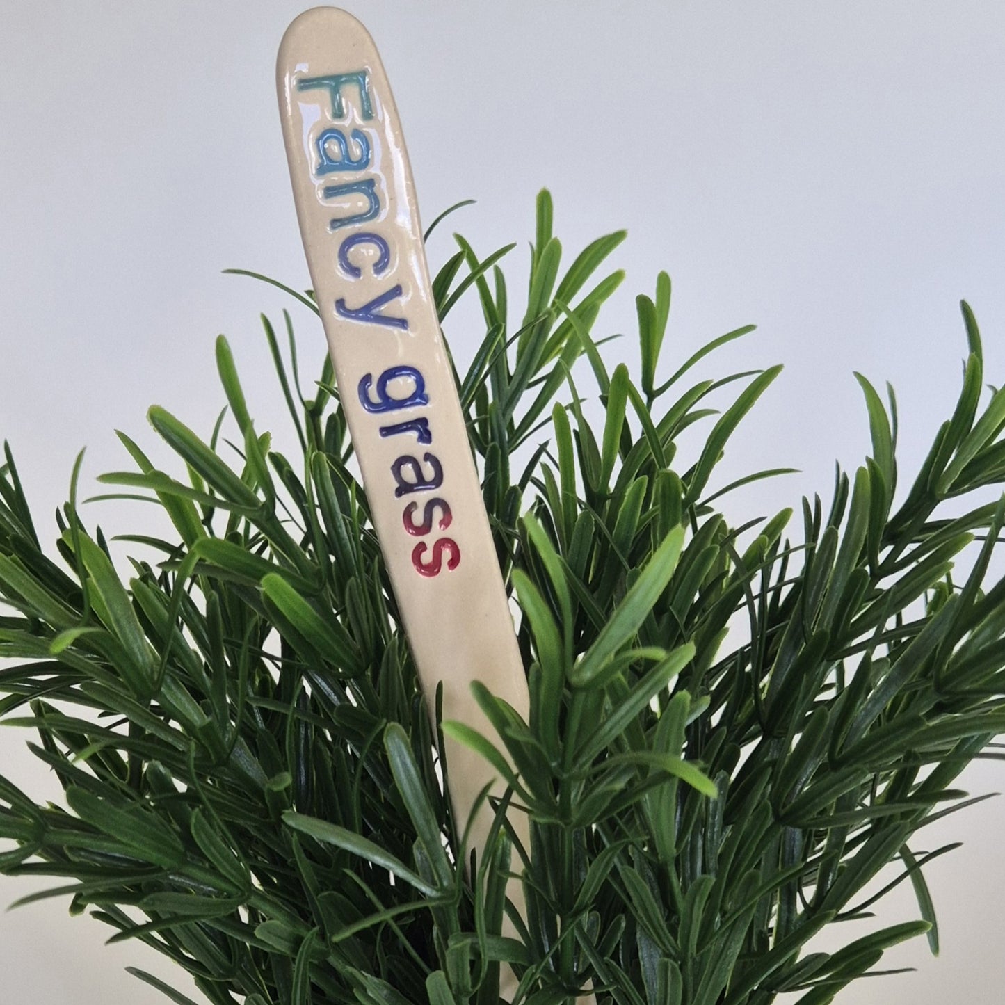 Potted plant with a ceramic stake labeled 'Fancy grass' on a plain background