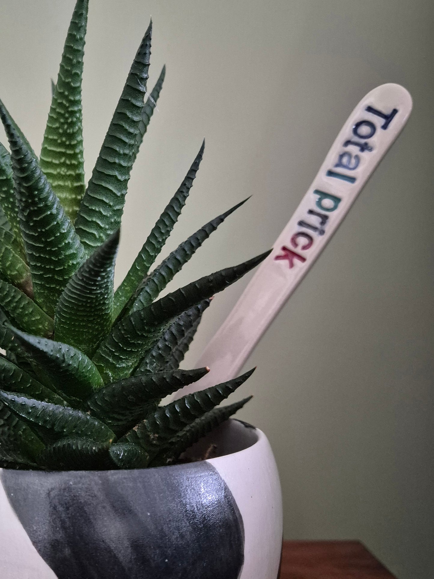 Cheeky Plant Labels - The Colourful Collection