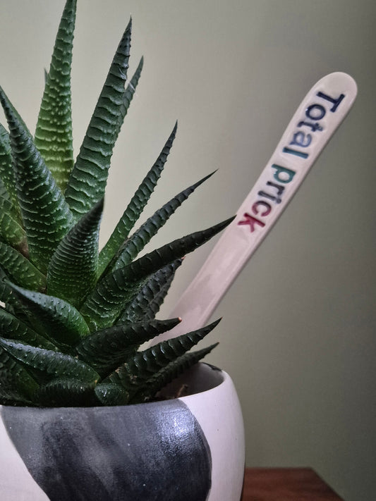 Cheeky Plant Labels - The Colourful Collection