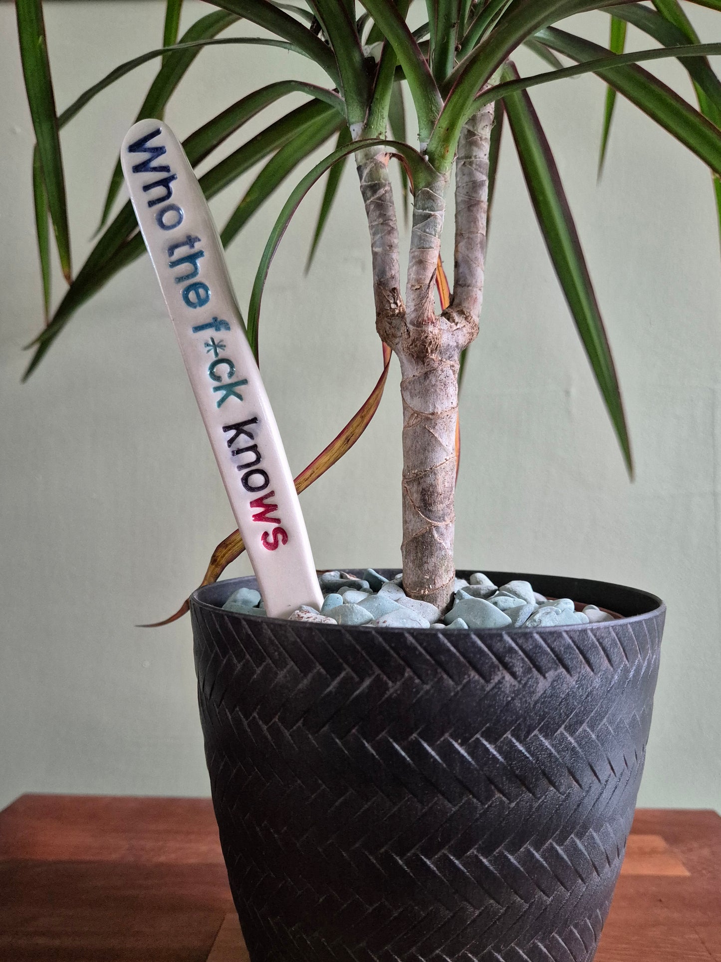 Cheeky Plant Labels - The Colourful Collection