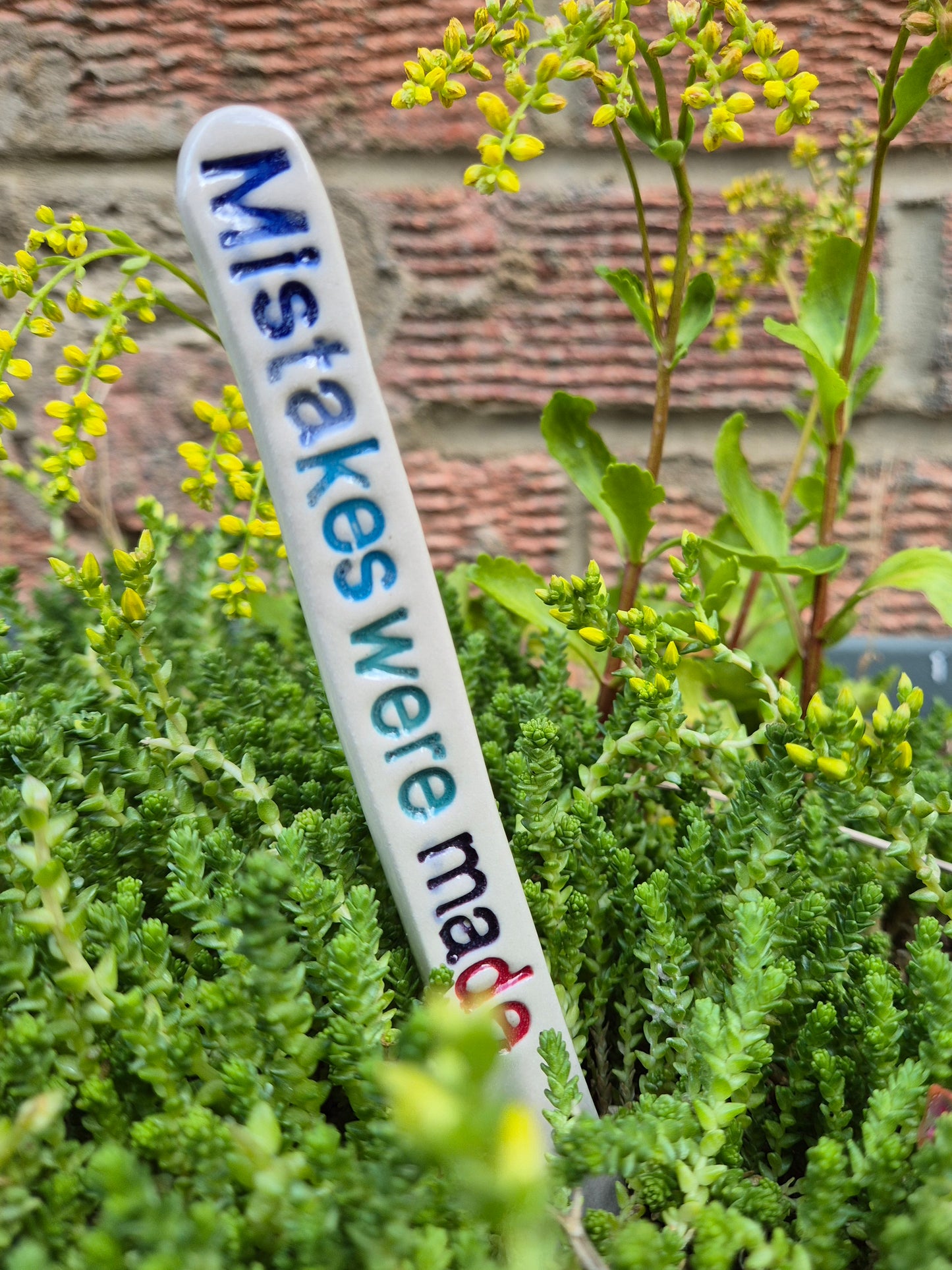 Cheeky Plant Labels - The Colourful Collection