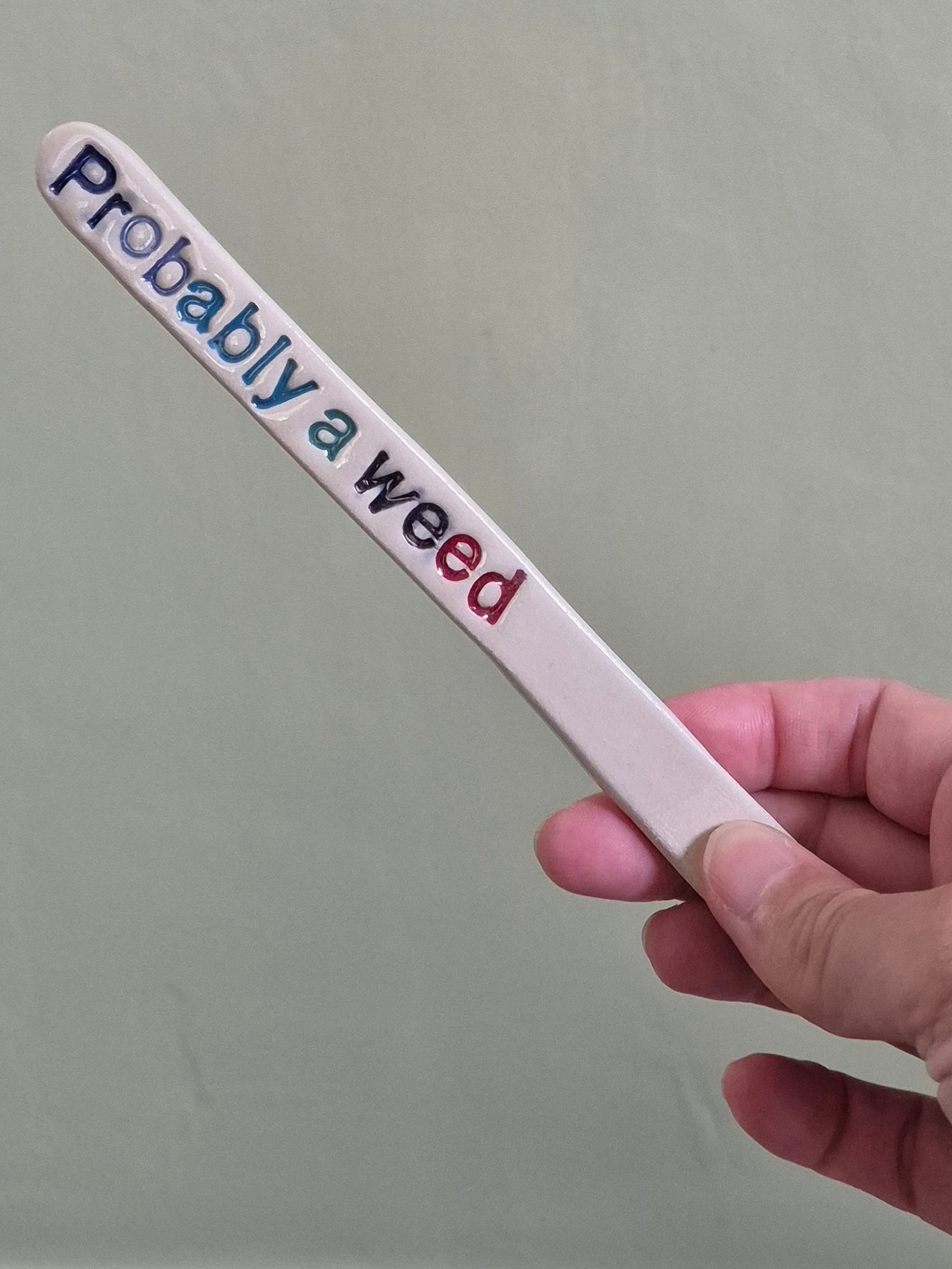 Cheeky Plant Labels - The Colourful Collection