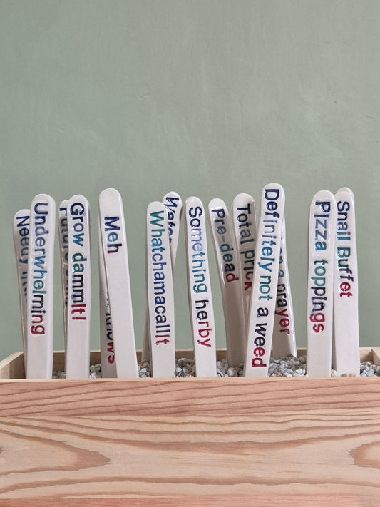 Cheeky Plant Labels - The Colourful Collection