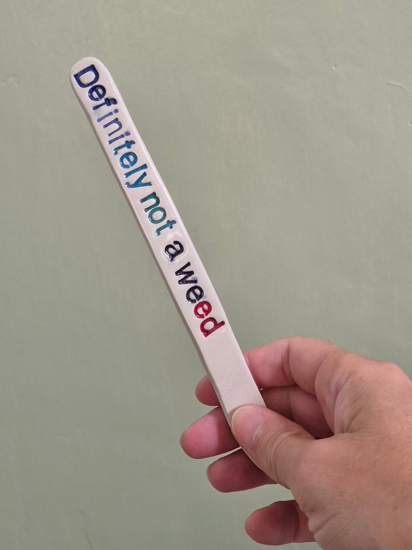 Cheeky Plant Labels - The Colourful Collection