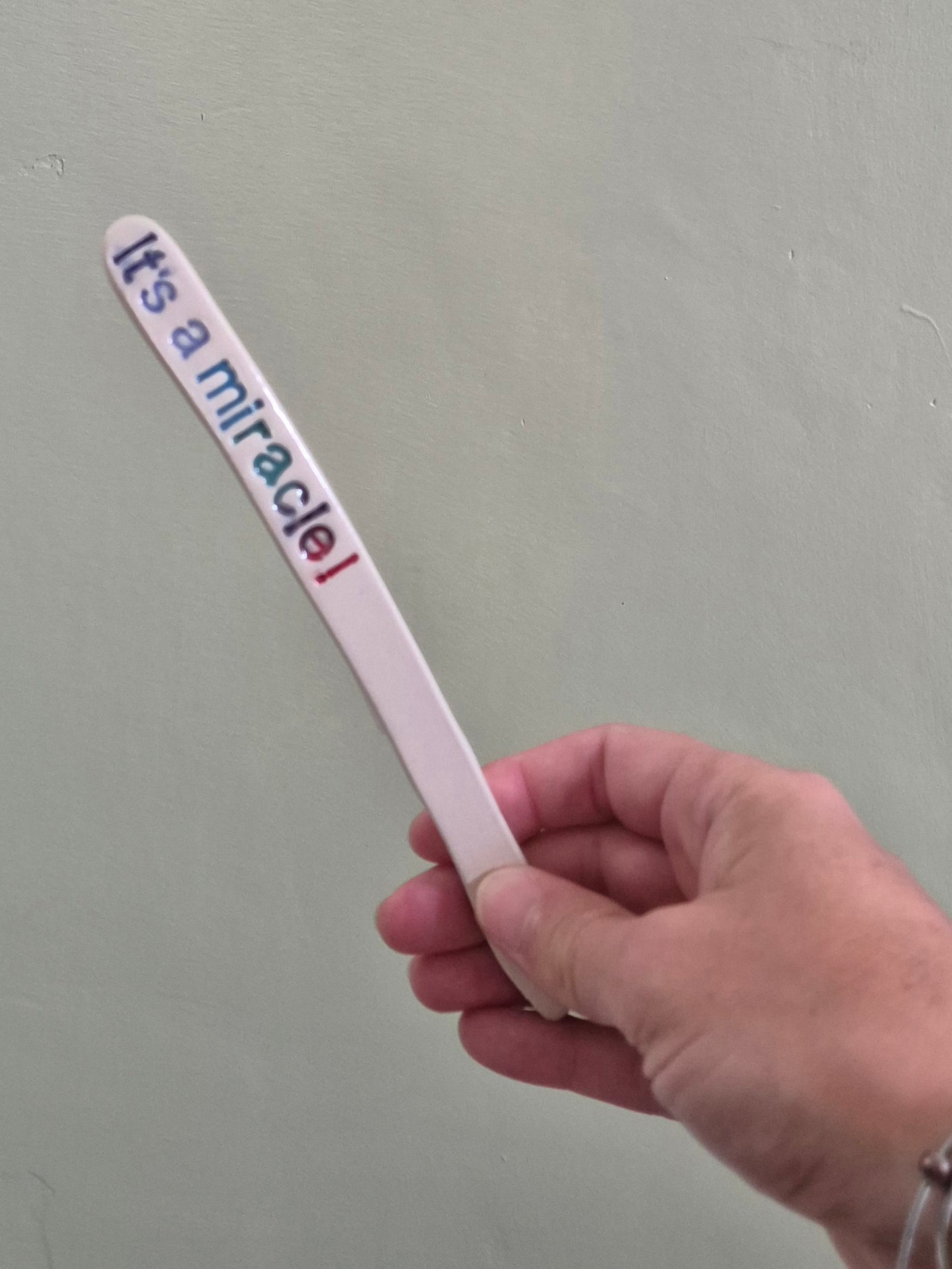 Cheeky Plant Labels - The Colourful Collection