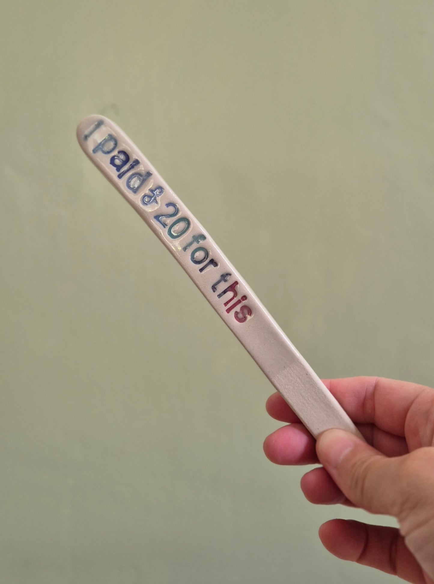 Cheeky Plant Labels - The Colourful Collection