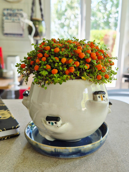 Decorative plant pot with little sculptured houses  on a table