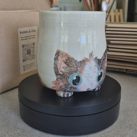 Video of Arlo the cat mug on a automatic turntable