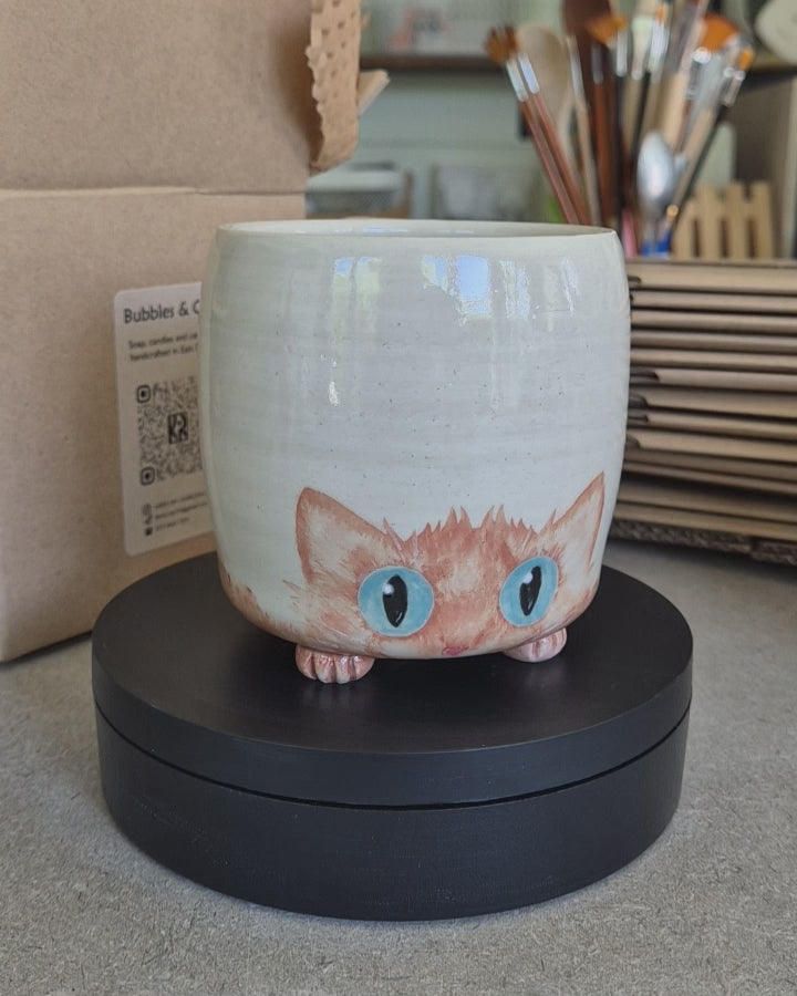 Video of Amber the cat mug on a automatic turntable