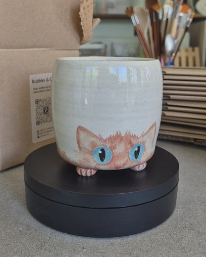 Video of Amber the cat mug on a automatic turntable